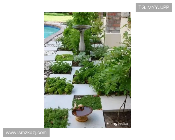 格拉利什变身种菜达人 豪宅内开辟专属菜园似农场练习场